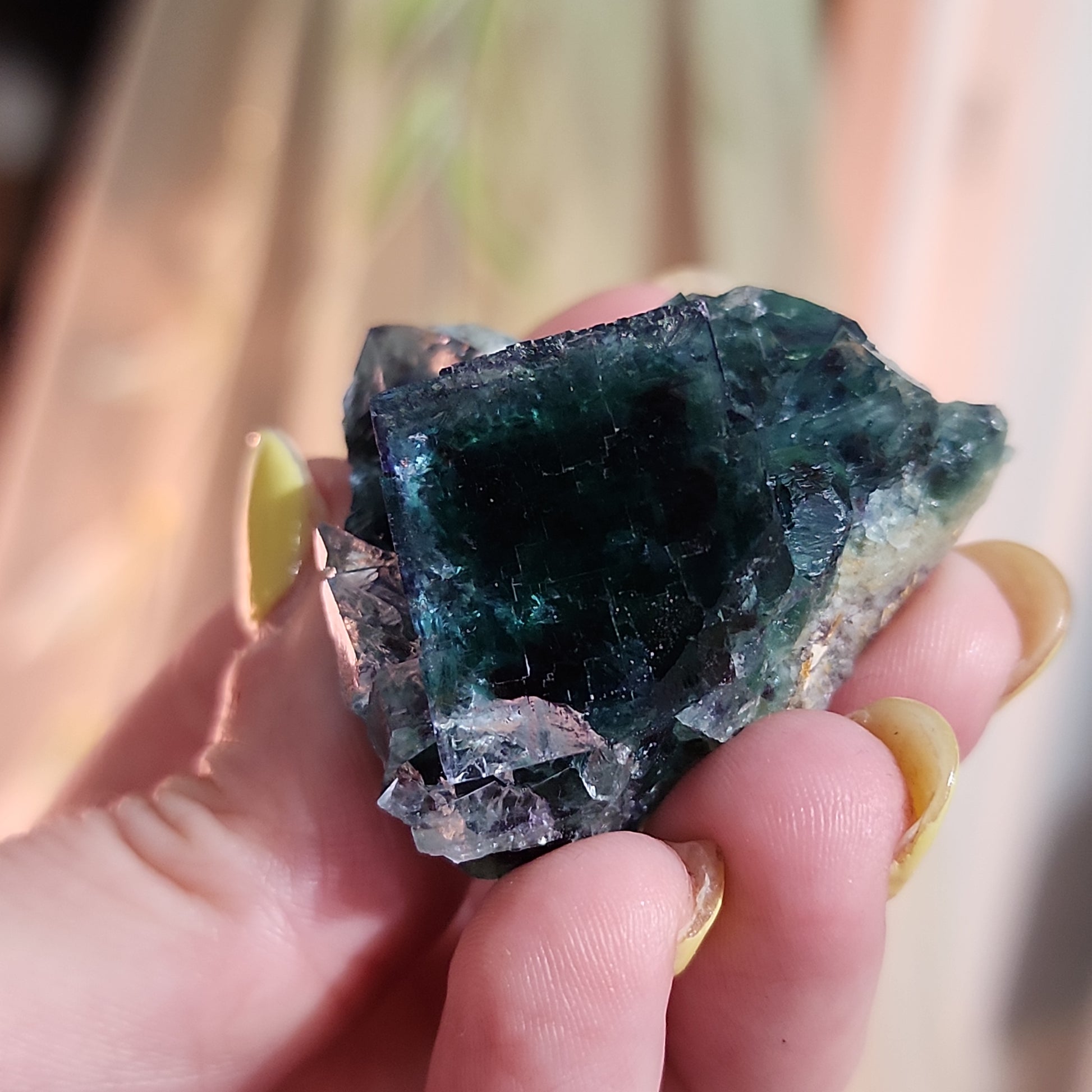 A person with long nails holds a dark green, semi-translucent crystal from The Crystalary's LIVE- Bast1776- 4/15/24 collection in their hand, possibly sourced from the renowned Okorusu Mine. The background is softly lit and out of focus, highlighting the intricate details and textures of the crystal, making it a perfect mini gift for any gemstone enthusiast.