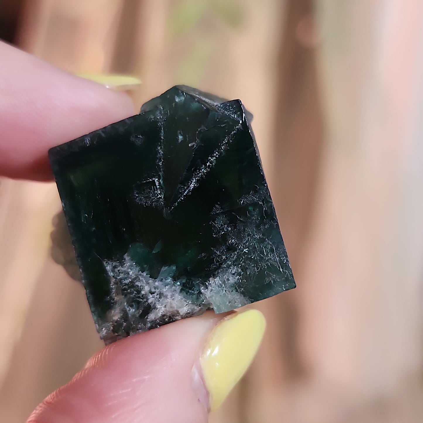 A person with yellow painted nails is holding a green, cube-shaped mineral, identified as LIVE- Bast1776- 4/15/24 from The Crystalary. The mineral from the Okorusu Mine features a dark green color and a rough, crystalline texture with some lighter, translucent areas. The background is blurred, highlighting the unique mini gift.