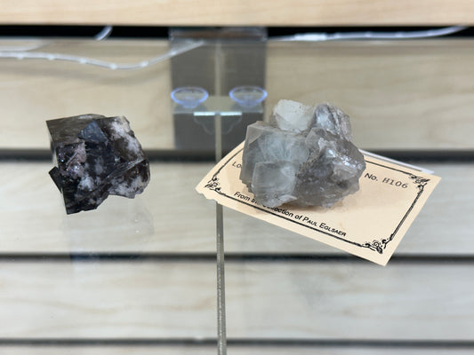 Two mineral specimens are displayed against a light-colored wood background. The specimen on the left is dark and irregularly shaped, reminiscent of finds from Kuiu Island, while the one on the right is lighter with more defined crystal formations, similar to Northern Flats Twin fluorite from The Crystalary's collection, and is accompanied by a label reading "LIVE-bast1776-5/10/24.