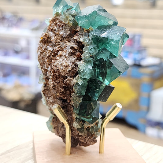 A striking specimen of green cubic fluorite crystals from the Rogerley Mine is beautifully displayed on a wooden stand with gold-colored metal supports, seated on a brown, rocky matrix. This exceptional piece from The Crystalary's LIVE- Bobbid00- 8/29/2024 collection is set against a blurred indoor backdrop with shelves holding other items.