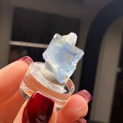 A close-up image shows a hand with red-tinted nails holding a transparent stand that displays The Crystalary's LIVE-Cam-2/8/24, featuring a square-shaped, light blue fluorite crystal. The background is intentionally out of focus to emphasize the details and vibrant coloration of the crystal.