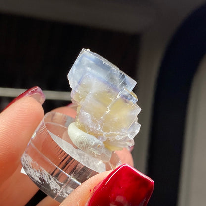 A hand with red nail polish holds a small clear stand displaying a piece of translucent Fluorite gemstone with faint blue, purple, and yellow hues. The LaBarre-styled gemstone has a layered, irregular shape and is illuminated by natural light. This beautiful piece is part of The Crystalary's LIVE- Cam- 2/8/24 collection.