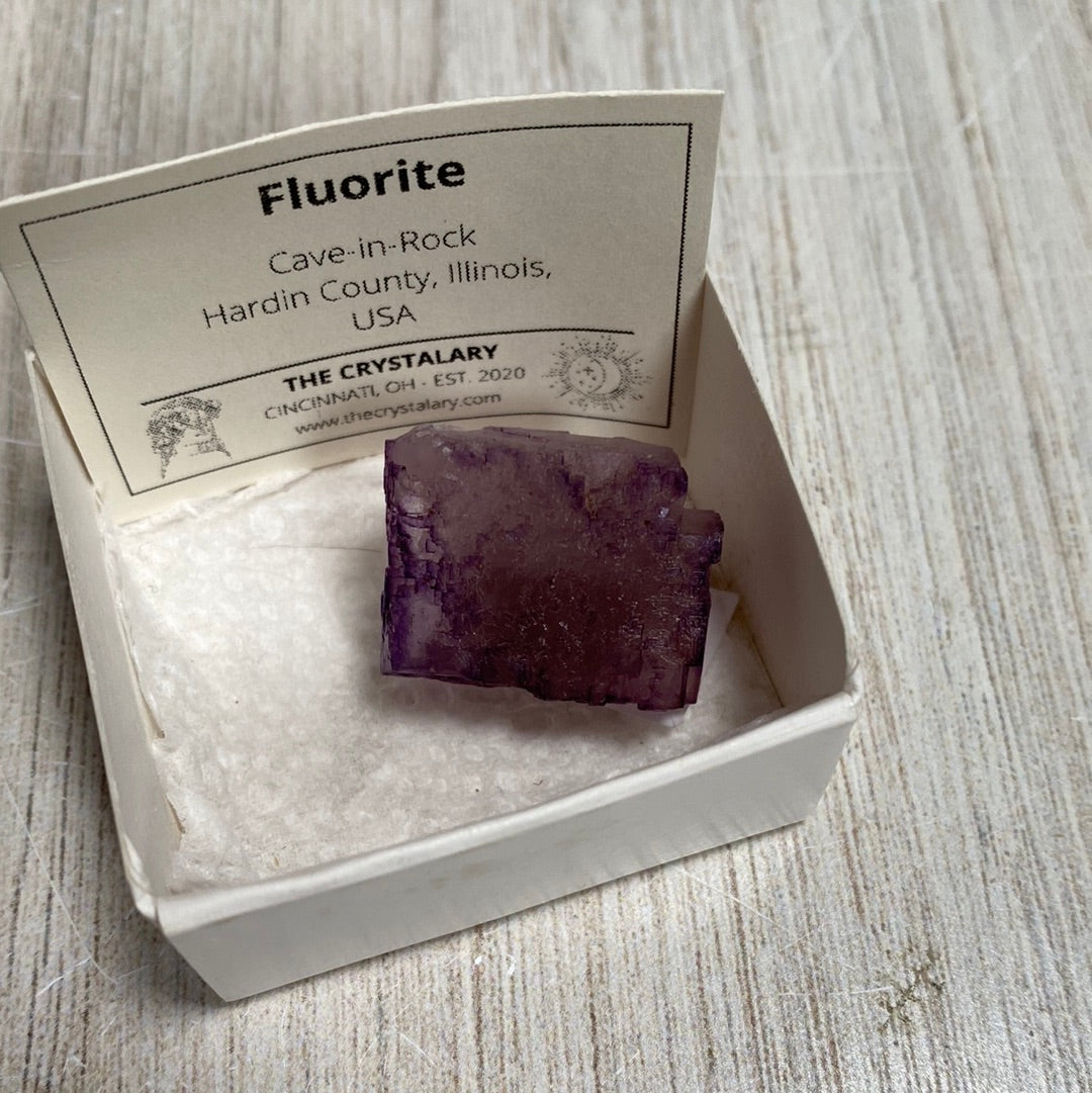 A purple fluorite crystal from Cave-in-Rock, Hardin County, Illinois, USA, is displayed in a small white box. The label inside the box reads "The Crystalary Cincinnati, OH - Est. 2020." The box rests on a light wooden surface.