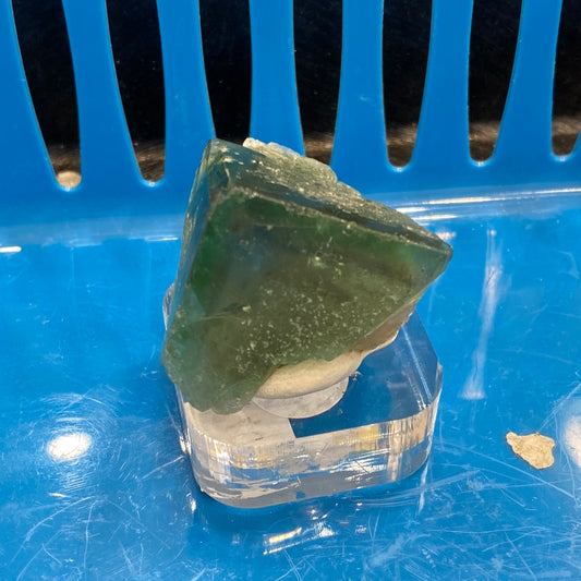 A rough, green crystal from The Crystalary's LIVE- changing.schape- 5/10/24 collection sits on a clear display stand against a bright blue, slatted background. This crystal, reminiscent of Green Toad jade, features a triangular-shaped peak and a textured surface.