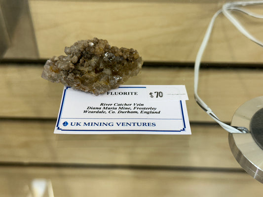 A LIVE-changing.schape-5/11/24 fluorite crystal cluster, with a brownish hue and sourced from the River Catcher Vein pocket at the Diana Maria Mine in Frosterley, is displayed on a glass shelf. A price tag shows $70, and a label indicates its origin while featuring The Crystalary logo.