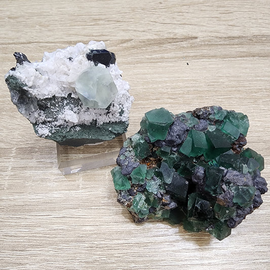 Two mineral specimens from The Crystalary's LIVE- chaossupervisor- 8/22/2024 collection are displayed on a wooden surface. The left specimen showcases a whitish, crystalline base with a substantial light green Fluorite crystal amidst smaller dark crystals. The right specimen, likely sourced from Dalnegorsk, features an aggregation of numerous dark green, cube-shaped crystals clustered together as if they originated in a single pocket.