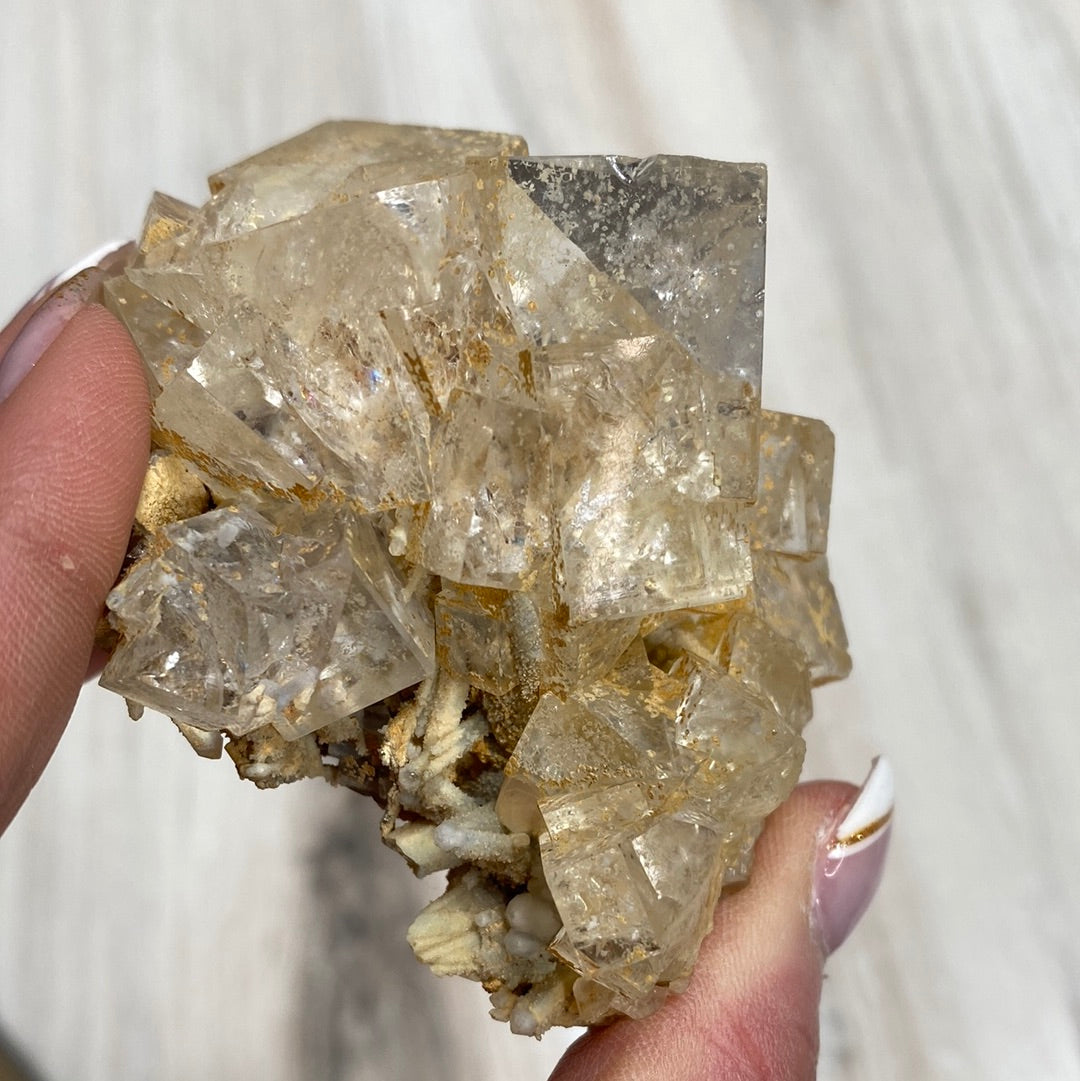 A hand holding a cluster of clear, cube-shaped crystals with a slight yellow tint. The translucent crystals, likely the LIVE- Ciana/caesarbug- 4/25/24 from The Crystalary, stand out against the blurred, light-colored surface in the background.