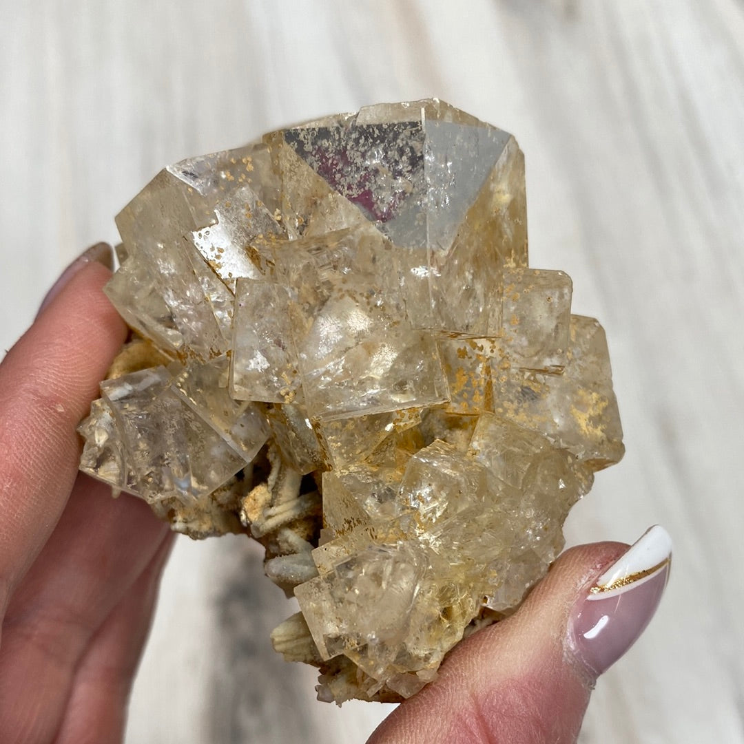 A manicured hand holding a cluster of LIVE- Ciana/caesarbug- 4/25/24 clear quartz crystals from The Crystalary against a light wooden background. The quartz crystals are variously sized and have a translucent, slightly yellowish hue.