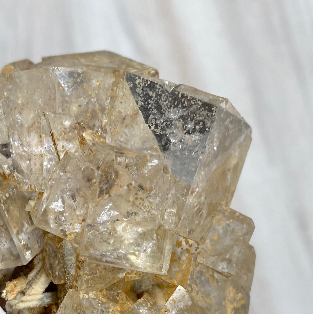 Close-up image of a cluster of translucent, pale yellow LIVE- Ciana/caesarbug- 4/25/24 crystals from The Crystalary, featuring some darker gray and yellowish-brown inclusions. The background is softly blurred with light, neutral colors, highlighting the intricate details of the crystal formations.