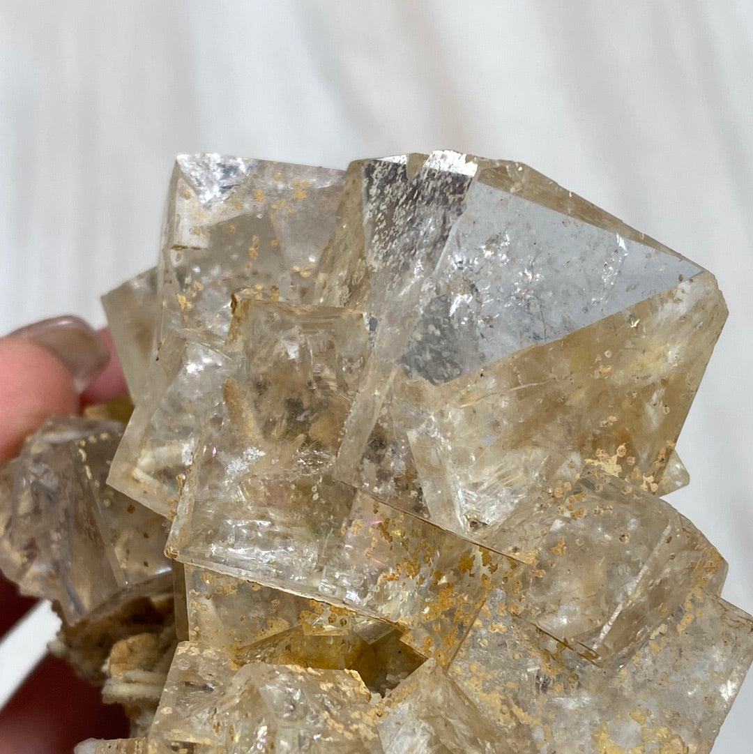 Close-up of a hand holding the LIVE- Ciana/caesarbug- 4/25/24 cluster of clear, cube-shaped fluorite crystals from Dalnegorsk-225 by The Crystalary, some with a light yellow tint and flecks of brown. The background is a light, blurred surface, allowing the intricate details and transparency of the crystals to be the focal point.