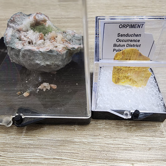 A display from The Crystalary's LIVE collection (crystalcollectorliz- 8/29/2024) features two rocks in separate clear boxes labeled with their names and origins. On the left, a rock with green and white crystals; on the right, a vibrant yellow mineral labeled "Orpiment, Senduchen Occurrence, Bulun District, Polar." Alongside them is a specimen of Millerite adding to the exhibit's allure.