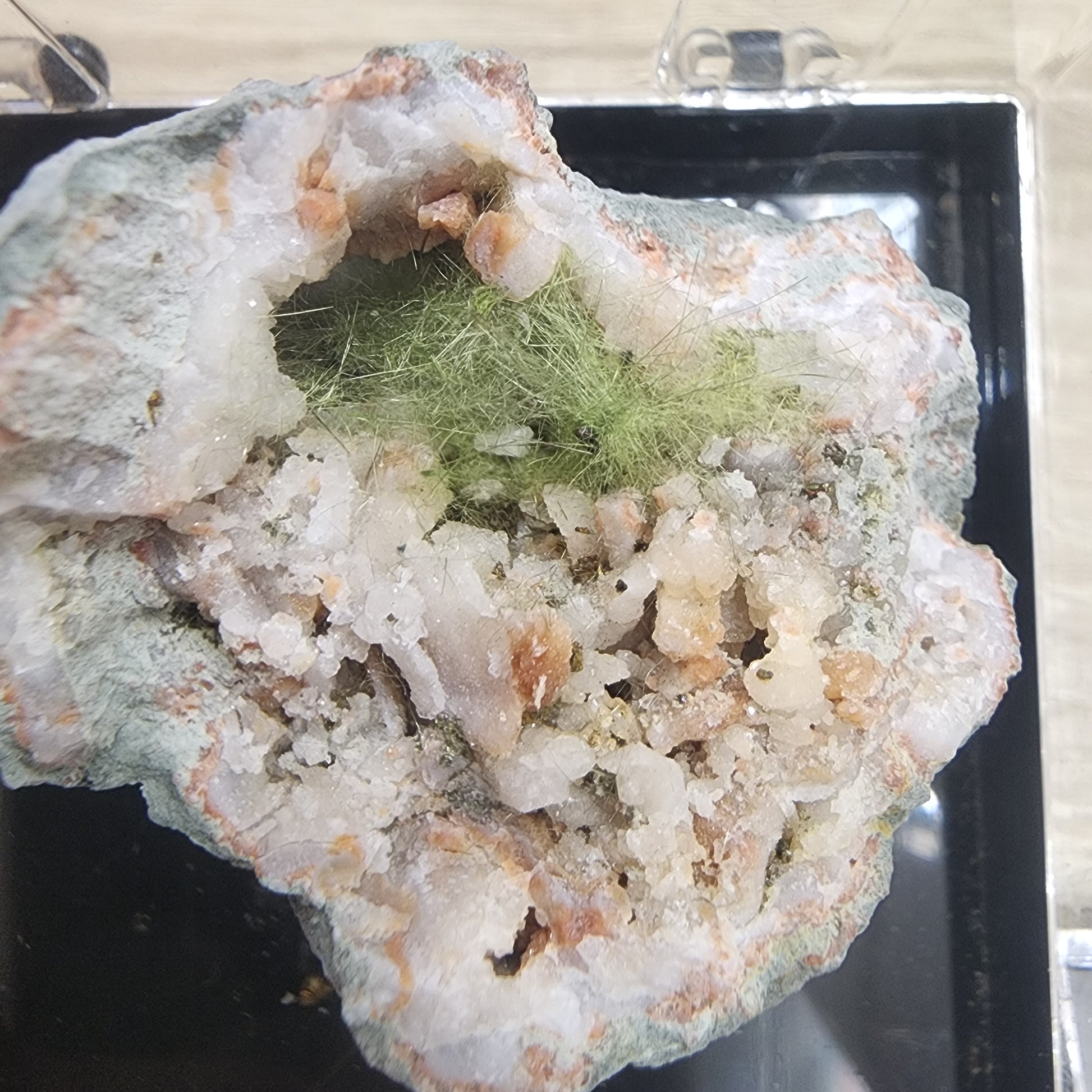 A close-up photo of the LIVE- crystalcollectorliz- 8/29/2024 mineral specimen from The Crystalary, showcasing fibrous green millerite crystals embedded in a cavity filled with colorless and light brown crystalline formations. The specimen is placed on a black display surface.