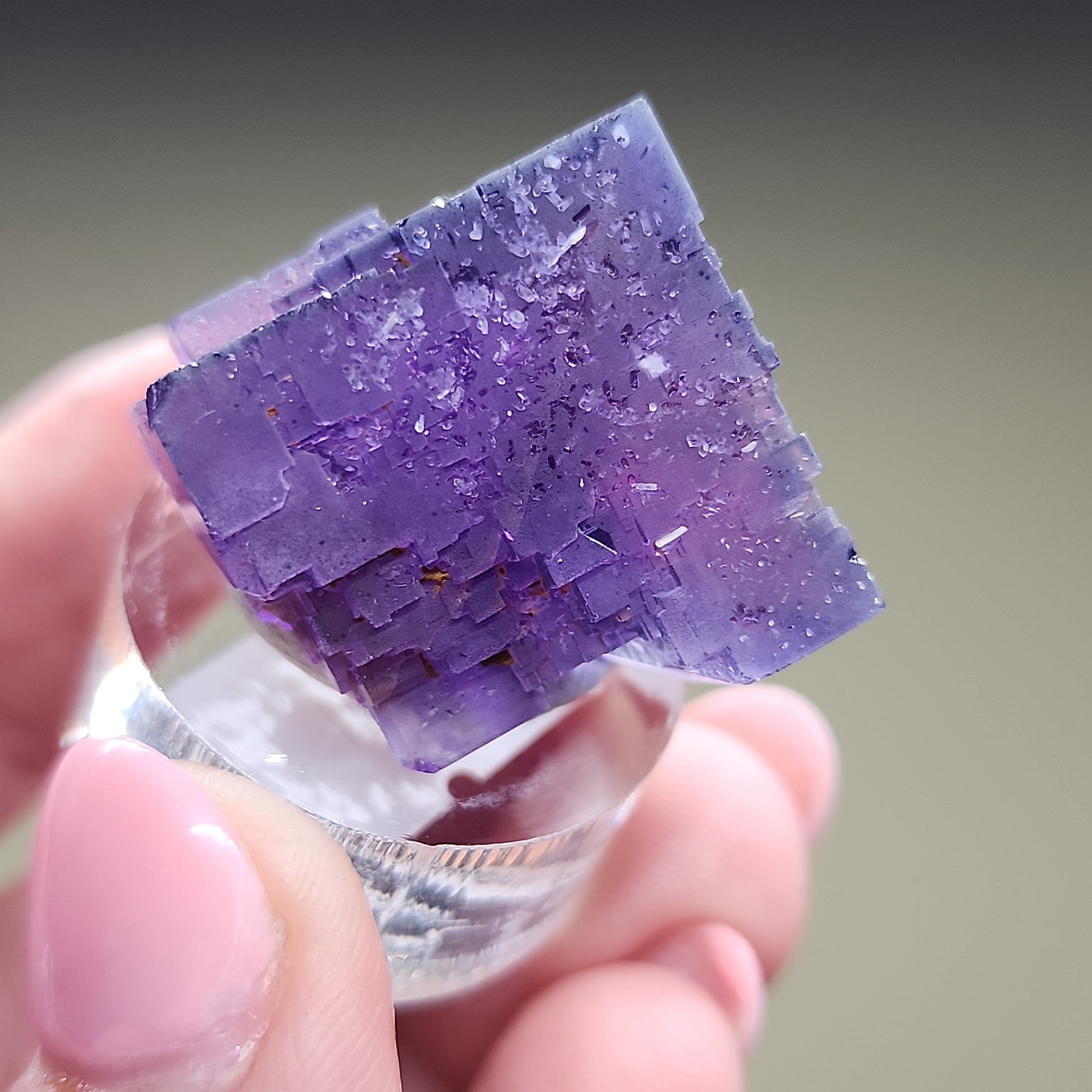 A close-up photo showcases a person's hand holding The Crystalary's LIVE- ebouton- 3/28/24, a stunning purple fluorite crystal from Berbes, Spain. The crystal features a distinctive cubic geometric shape with a beautifully textured surface. The person displays neatly manicured nails, painted in a delicate light pink shade, while the background remains artistically blurred.