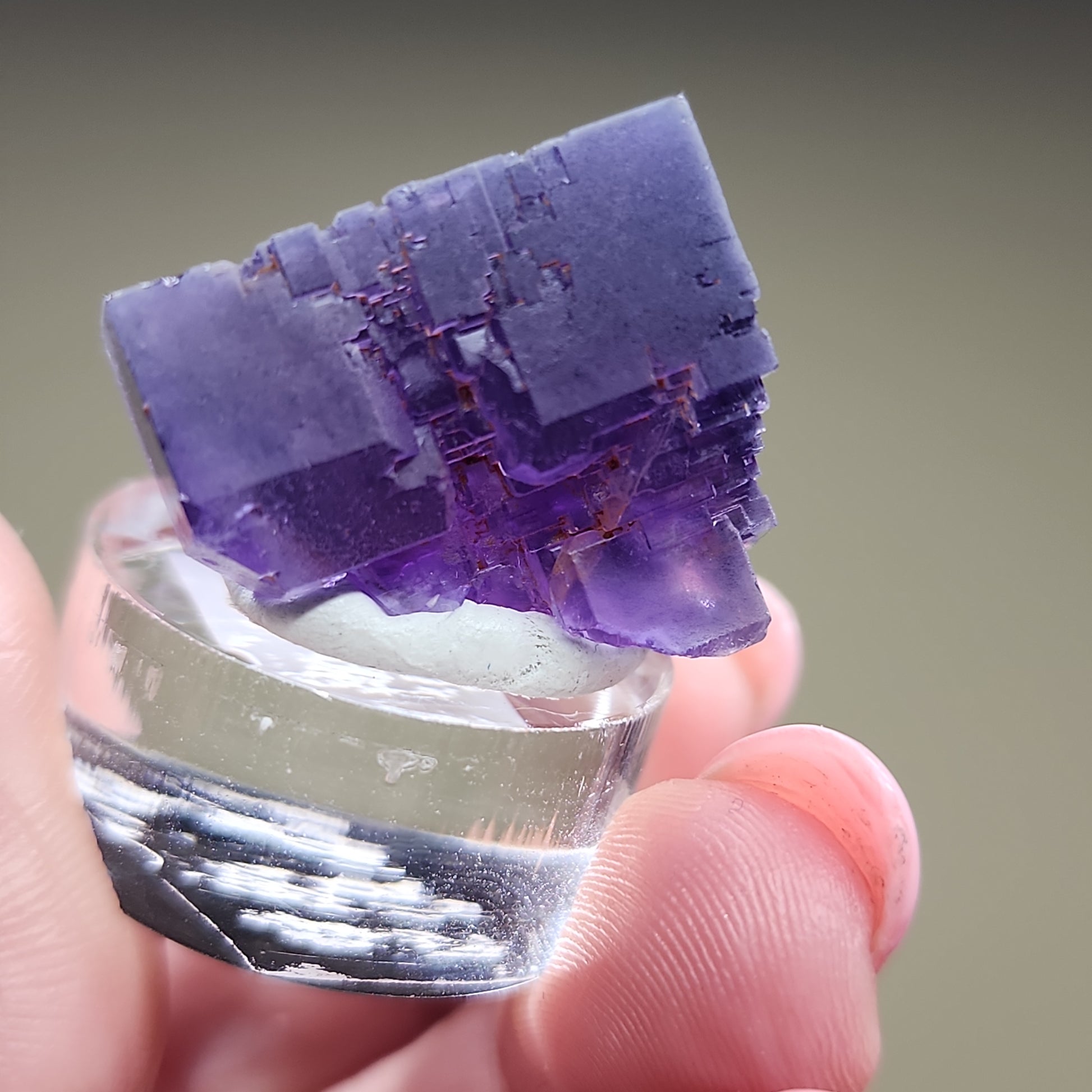 Close-up of a hand holding a LIVE-ebouton-3/28/24, a purple cubic Fluorite crystal specimen from The Crystalary. It rests on a clear, round base and features a geometric, fragmented surface with varying shades of purple. The background is blurred to emphasize the focus on the crystal.