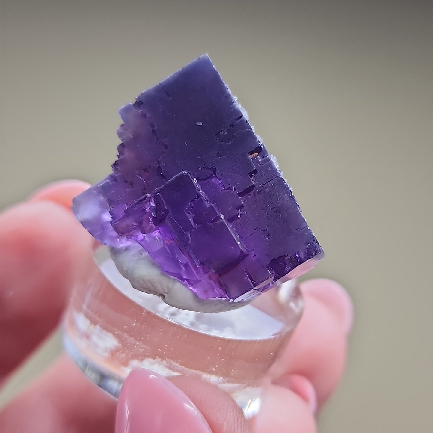 A close-up shows a person's hand holding the small, transparent LIVE-ebouton-3/28/24 display stand by The Crystalary, showcasing a vivid purple cubic fluorite crystal on top. The well-defined geometric edges of the Berbes fluorite are set against a blurred, neutral background. The person's nails are painted in a light pink shade.