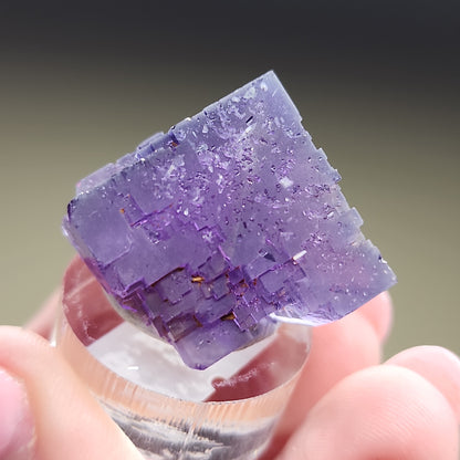 A person holds a cubic piece of purple crystal, possibly fluorite from Berbes, Spain, between their fingers. The translucent crystal from The Crystalary's LIVE- ebouton- 3/28/24 collection exhibits a layered, block-like structure. The background is blurred, putting the focus on the detailed texture of the crystal.