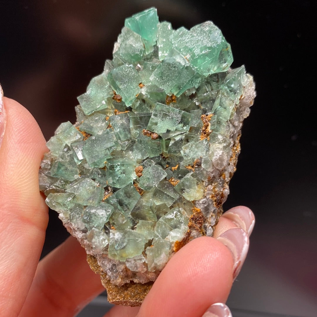 A hand from The Crystalary's LIVE- Eric.Jazzar- 1/4/24 and 12/28/23 collection holds a cluster of clear, green fluorite crystals with some brownish minerals against a dark background. These naturally geometric formations, sourced from Socorro, New Mexico, are beautifully highlighted. The fingernails are elegantly painted with a clear polish.