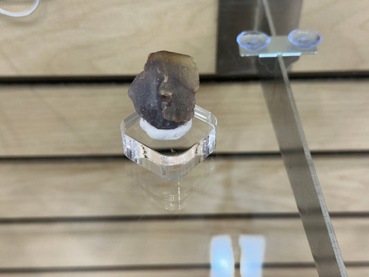 A compact, roughly-shaped mineral specimen from The Crystalary's LIVE- exbeertz- 5/11/24 collection is showcased on a transparent pedestal atop a glass shelf. The El Hammam piece features a dark brown hue and an irregular surface texture, set against a light wooden background.