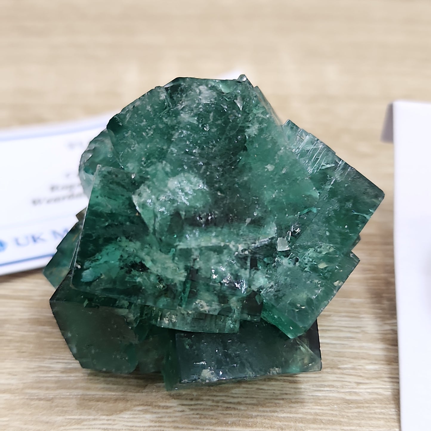 A green, semi-transparent cubic crystal cluster from The Crystalary's LIVE- ExBEERtz collection sits on a wooden surface, reminiscent of the glossy trinkets found in Cousin Jack Pocket. The crystals have sharp, well-defined edges and reflect light, giving them a shiny appearance. In the background, there are partially visible pieces of paper with text on them.