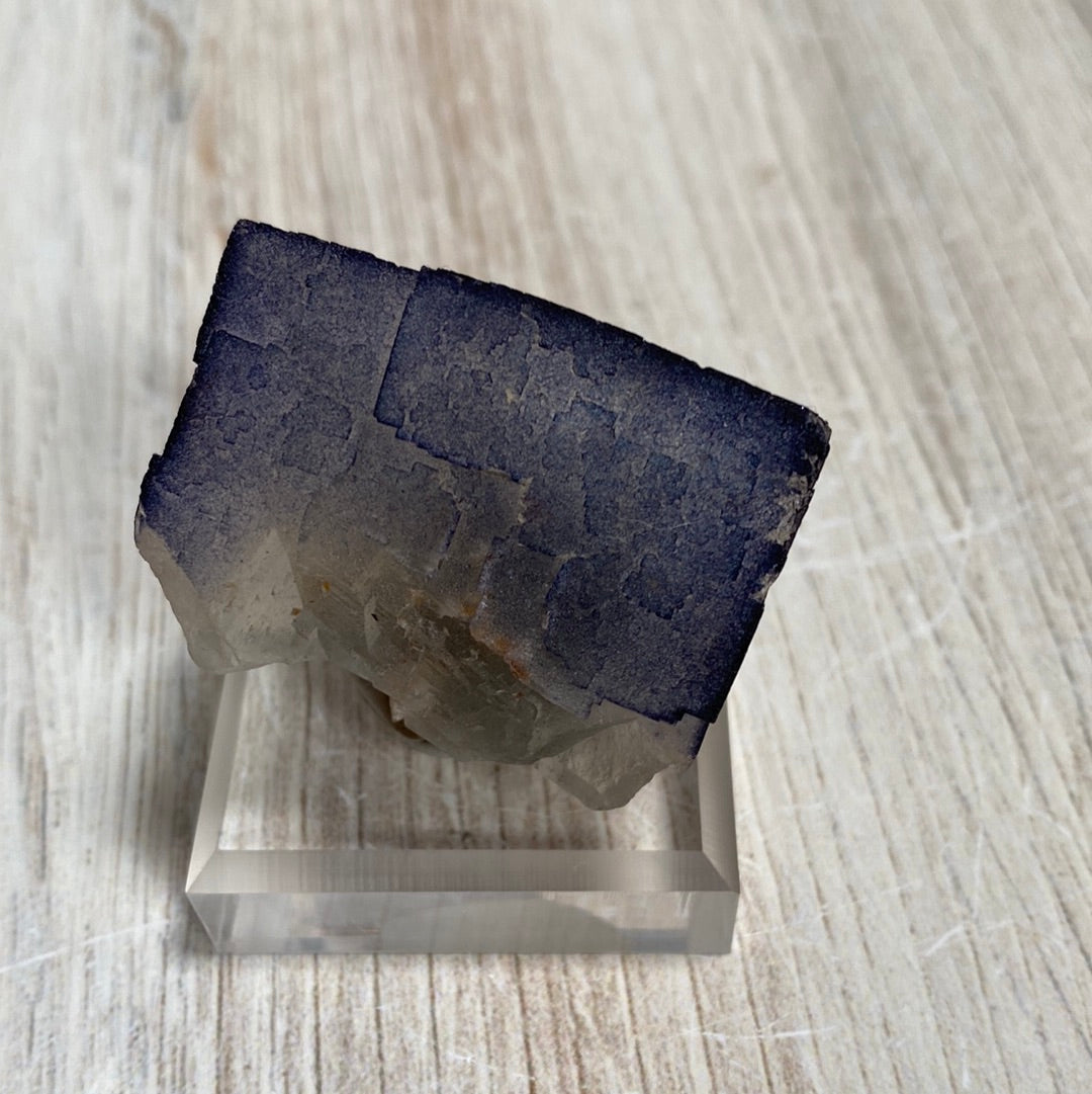 A product from The Crystalary, named "LIVE- Fluorite Fish- 4/25/24," rests on a small transparent stand. This cubical mineral specimen features a deep blue to gray gradient that closely resembles fluorite. Its detailed texture and striking color contrast beautifully with the light wooden surface in the background.