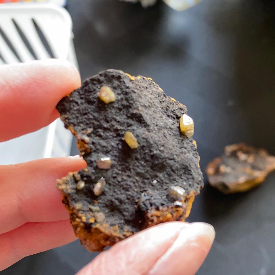 A close-up of a hand holding a rough, dark mineral specimen with small, bright crystals embedded in its surface. In the background, slightly blurred on a dark surface, is another similar mineral sample from The Crystalary's LIVE- janisjoplin96boo- Oct 27 collection, featuring Wulfenite from the 79 Mine.