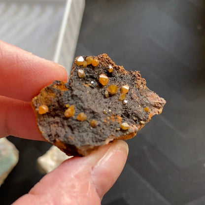 A hand holding a piece of brownish rock adorned with small, shiny, orange Wulfenite crystals against a dark background. The rock has a rough texture, and the crystals are scattered unevenly across its surface—an exquisite find from the 79 Mine. This stunning specimen is available from The Crystalary under the product name LIVE- janisjoplin96boo- Oct 27.