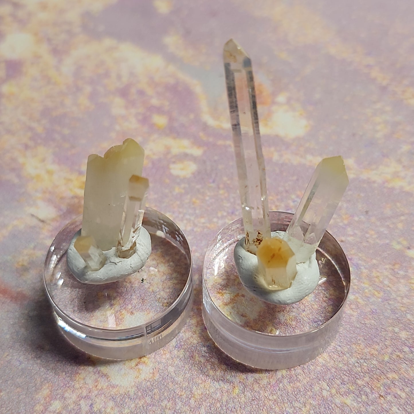 Two clusters of transparent Mango Quartz crystals from The Crystalary's LIVE- KarenUllrich- 4/11/24 collection are mounted on clear cylindrical bases. These clusters showcase multiple elongated, reflective crystals extending upwards, secured in place with a white adhesive material. The background displays a mottled, earthy tone.