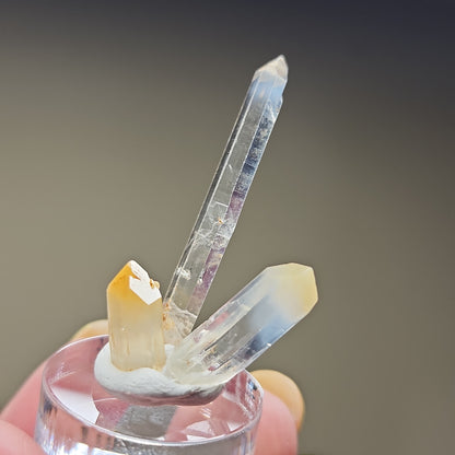 A hand holds a small clear container showcasing three vertical quartz crystals of varying sizes. The crystals feature sharp, clear edges and some cloudy, yellowish inclusions, evoking the appearance of Mango Quartz. The background is captured in a blur, accentuating the clarity and detail of the 15 quartz crystals from "LIVE- KarenUllrich- 4/11/24" by The Crystalary.