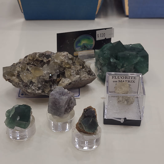 A variety of mineral specimens are elegantly displayed on clear stands, showcasing several labeled fluorite pieces. Among the collection, a striking specimen from the River Catcher Vein catches the eye. The minerals feature shades of green, gray, and white, with one prominent cluster priced at $120 in the background. All products are available under "LIVE- Karenwebdellrogala- 5/10/24" by The Crystalary.