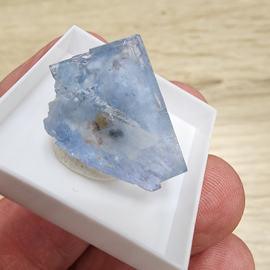 A hand holding LIVE- KarenWebdellRogala- 8/29/24 from The Crystalary, a translucent blue mineral, likely fluorite from the Bisage Mine in France. The mineral, housed in a white display case, has a rough and jagged surface with varying shades of blue and is set against a light wooden background.