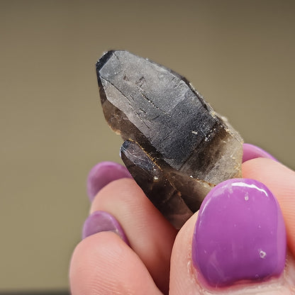 Close-up of a hand with purple-painted nails holding The Crystalary's LIVE-Kylie-11/1/24 smoky quartz crystal. The crystal features a dark, almost black tip that transitions into a lighter, translucent brown base. The background is blurred, emphasizing the details of both the smoky quartz and the nails.