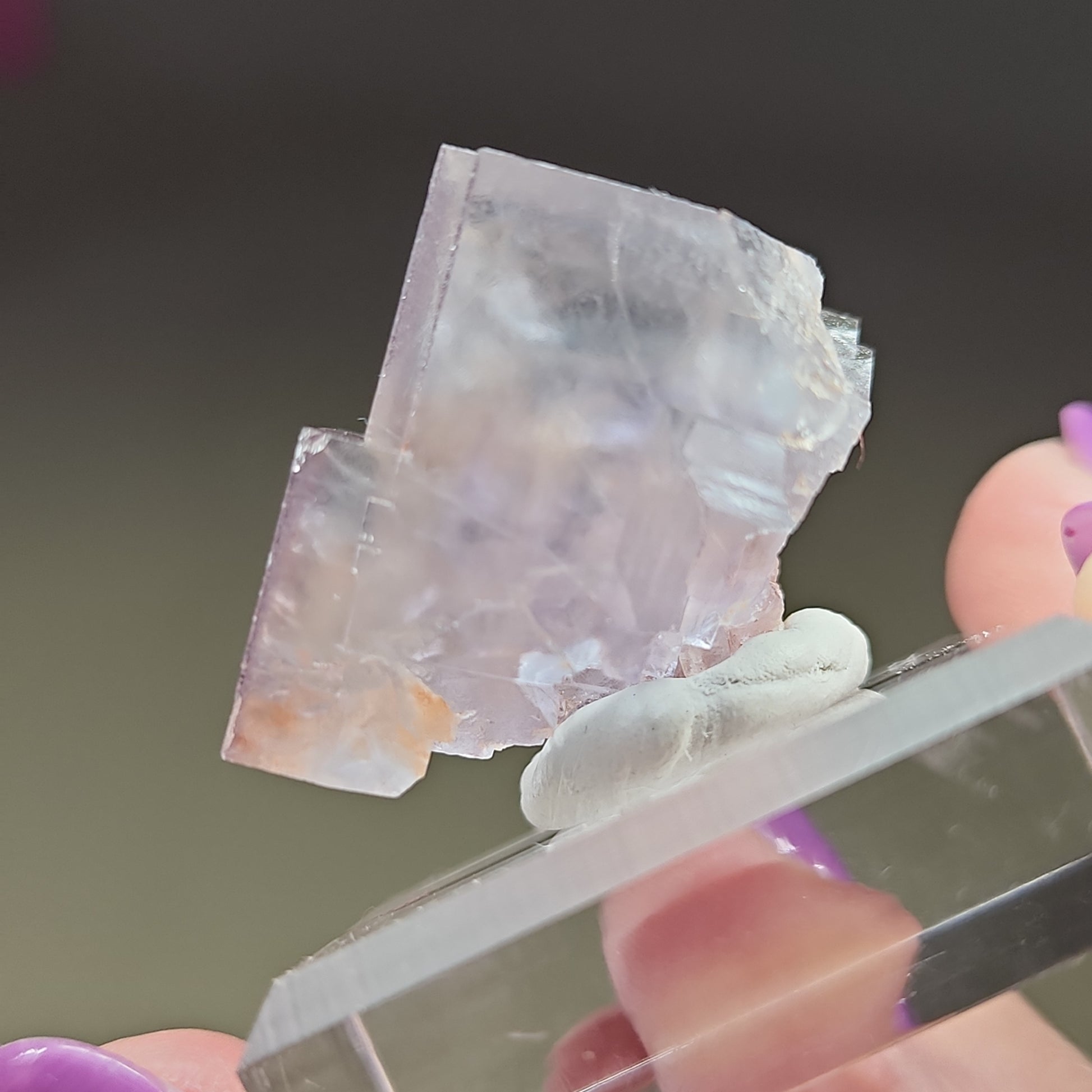 A detailed close-up of the translucent, light purple "LIVE- Kylie- 11/1/24" Fluorite gemstone from The Crystalary, displayed on a clear plastic stand with a small amount of putty. The gemstone showcases distinctive straight-edged cuts and natural fractures, softly reflecting light.