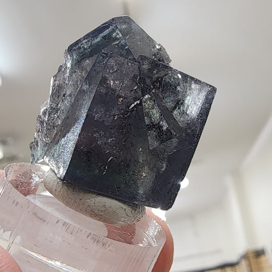 A hand is holding the "LIVE - Mandy Jo - 6/13/24," a dark, roughly rectangular crystal mineral with reflective surfaces from The Crystalary. The twin crystals are mounted on a clear base against a blurred background, almost resembling the distant shimmer of the Milky Way.