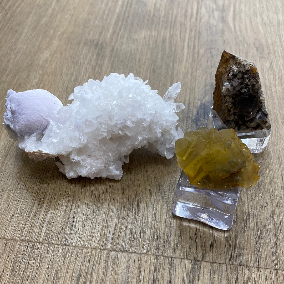 Three distinct mineral specimens showcased on a wooden surface. To the left, a white crystalline Selenite formation from Naica. Centrally positioned, a yellow crystal cluster. On the right, a dark-colored Fluorite crystal with a transparent base. The showcase is brought to you by The Crystalary as part of their LIVE event: MandyJo- 5/30/24 collection.