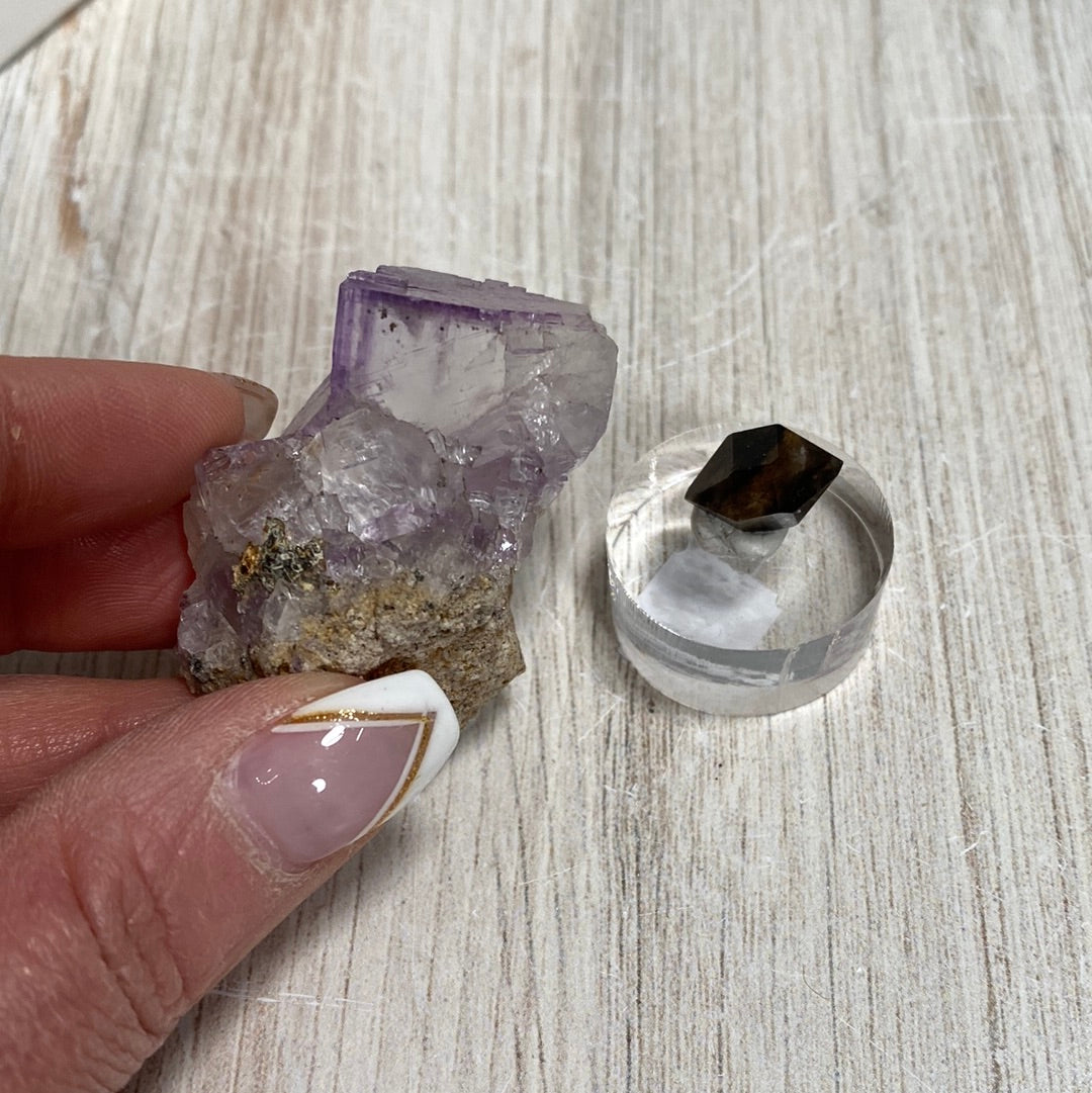 A hand with manicured nails delicately holds a rough purple crystal cluster from The Crystalary's LIVE collection by Miriam Lopez (4/25/24) next to a small clear stand that supports a dark, faceted Morion Quartz gemstone. The scene is set against a light-colored wooden surface.