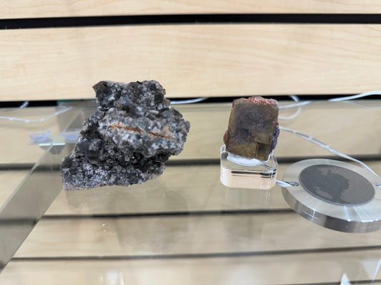 Two mineral specimens displayed on a glass shelf. On the left, a rough, irregularly shaped black mineral sits directly on the shelf. On the right, LIVE- Mollified- 5/11/24 from The Crystalary, a cube-shaped fluorite with dark and reddish-brown hues, is displayed on a small clear stand.