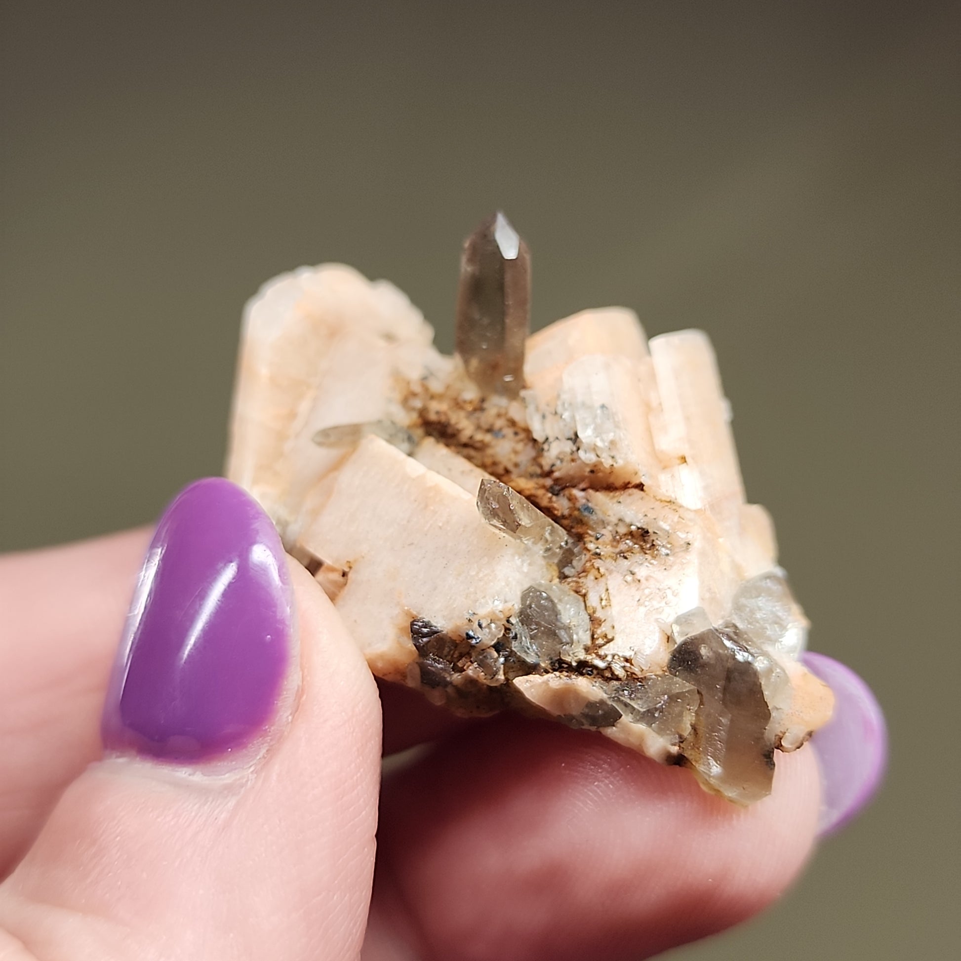 A hand with purple-painted nails holds The Crystalary's LIVE- Molls- 1/11/24, a cluster of beige minerals adorned with several clear quartz and smoky quartz crystal points, against a blurred background. These crystals, reminiscent of those found in Montana, are small, slightly translucent, and exhibit a natural, uneven formation.