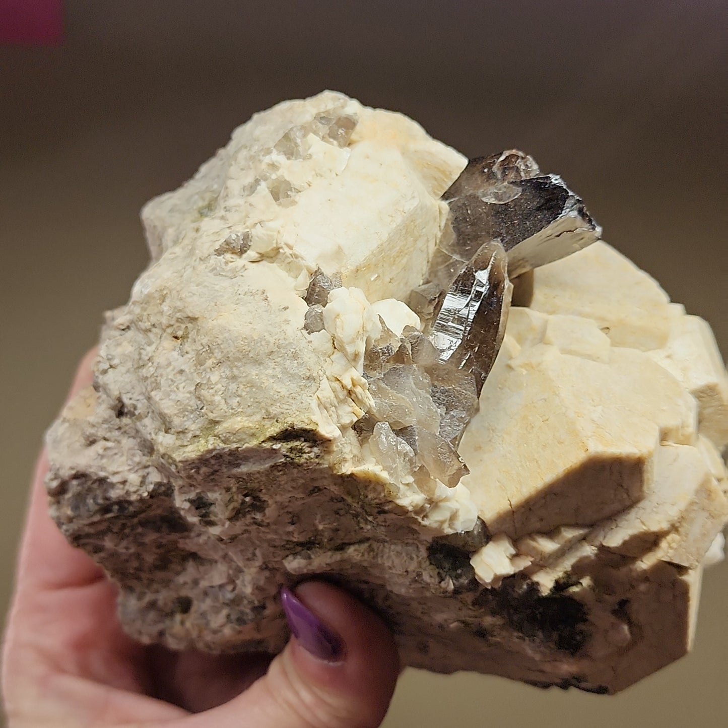 A hand holding The Crystalary's LIVE-Molls-1/11/24, a large rock adorned with white, beige, and dark brown crystals that resemble smoky quartz. The fingernails are painted a vibrant purple. The blurred and indistinct background evokes the serene beauty of Montana or Lake George.