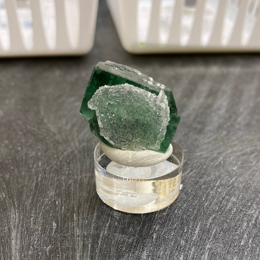 A green, crystalline mineral specimen from The Crystalary's LIVE- Ms Teething- 5/11/24 collection sits atop a small, clear acrylic stand. The mineral has a rough, uneven texture with some sparkling facets that glisten like the Northern Lights. It is positioned against a dark gray background with white objects in the blurred distance.