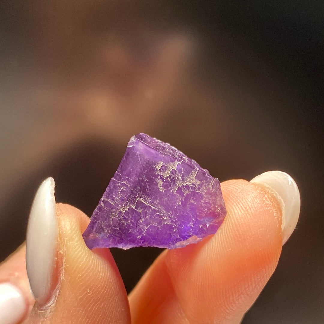 A close-up image of a hand holding a small, rough, purple gemstone against a dark background emphasizes the unique allure of The Crystalary's LIVE- Pamela Baker 807- 1/23/25. The gemstone's irregular shape and translucent quality gleam as light highlights its texture and color. The nails are neatly manicured with light-colored nail polish.