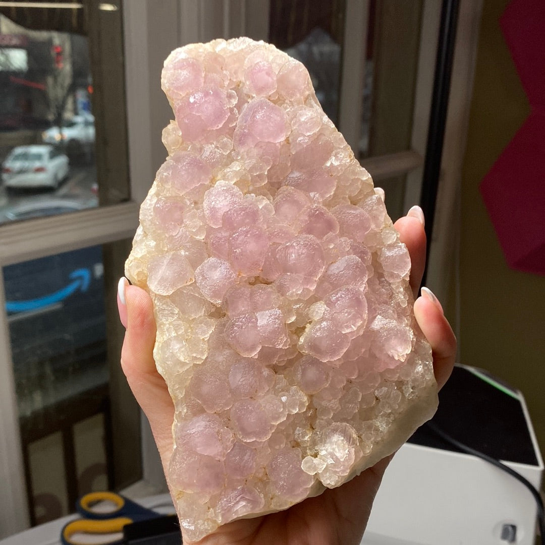 A hand is shown holding a large piece of rough-textured pink botryoidal grape agate crystal from The Crystalary's LIVE-roxonboard-2/22/24 collection, along with a smaller specimen of fluorite. The agate features numerous small, rounded formations that resemble clusters of grapes. In the background, there's a window providing views of semi-urban scenery and parts of a room where some objects are visible.