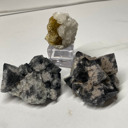 Three mineral specimens are displayed on a white surface. The top specimen, called LIVE-Sammio-2/22/24 by The Crystalary, is reminiscent of the Milky Way with its combination of yellow and white crystals on a small square stand. The other two are black or dark gray minerals with white crystalline patches, placed directly on the surface.