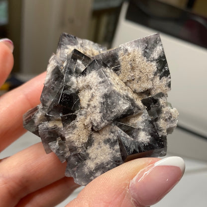 A hand with a manicured nail holds The Crystalary's LIVE- Sammio- 2/22/24 mineral cluster, showcasing dark, shiny cubic crystals interspersed with light-colored, rough granular formations against a blurred background reminiscent of the Milky Way.