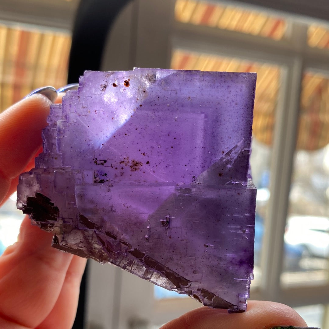 A hand holding the LIVE-sinfulilblonde-3/21/24 from The Crystalary, a translucent, purple fluorite mineral with a cubic structure, is placed against a bright window. The sunlight filters through the crystal, highlighting its layers and imperfections, as if celebrating a small Crystal Victory in the heart of Yindu.