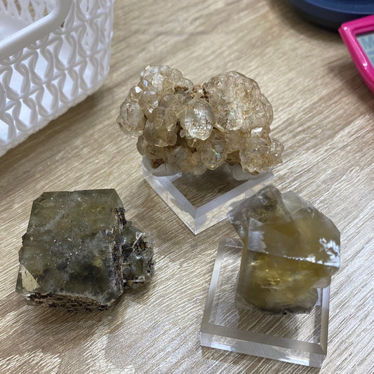 Three mineral specimens are displayed on a wooden table. At the top center, a crystalline Bull Vein cluster combines light brown and clear hues. On the bottom left, there's a cuboid-shaped stone from Dalnegorsk with darker tones, while to the bottom right sits the translucent yellowish-brown River Catcher stone. Each specimen is showcased on transparent stands as part of The Crystalary's LIVE- sinfulilblonde- 8/22/24 collection.