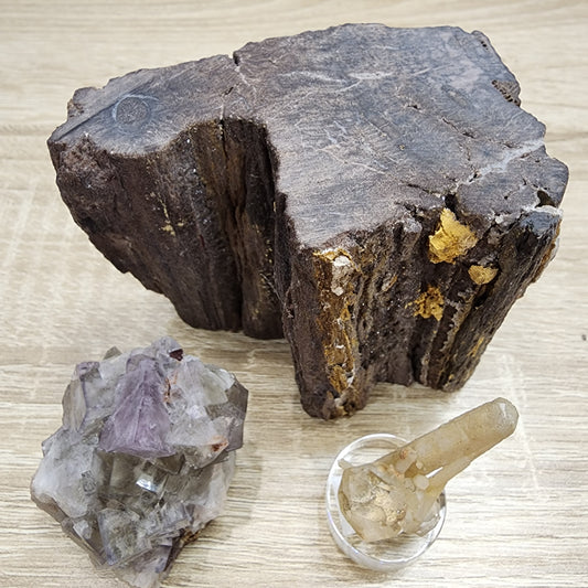 Three minerals from The Crystalary are displayed on a wooden surface. The largest is a dark, rugged chunk of petrified wood. In the bottom left is a cluster of light purple, hexagonal amethyst crystals. To the bottom right, a single clear quartz crystal from Dalnegorsk stands upright in a small holder in "LIVE- Sinfullilblonde- 8/29/24".