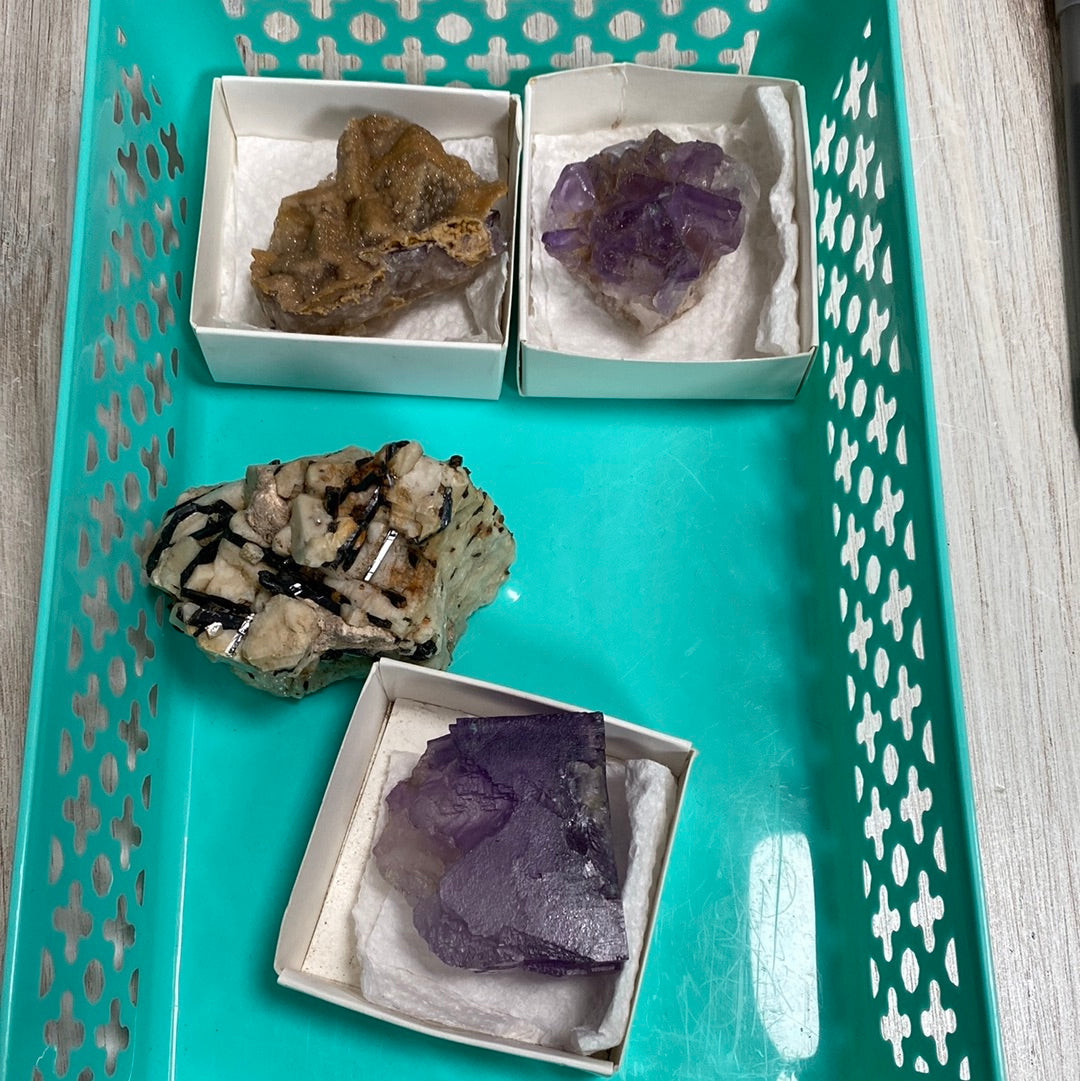 A teal plastic tray from The Crystalary's LIVE- Tracey Bachetto collection, dated 4/25/24, houses four mineral and rock specimens, each nestled in a small white box with protective padding. The collection includes samples of Malawi schorl, albite, and two purple cave-in-rock pieces that showcase varying textures and shapes. This elegant tray is displayed on a light-colored wooden surface.