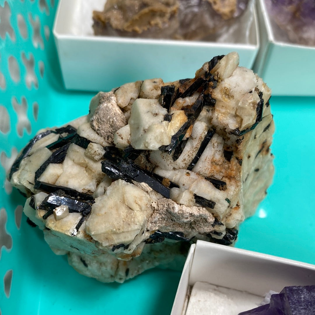 A detailed view of a mineral specimen primarily showcasing white and beige albite crystalline structures interspersed with black tourmaline inclusions. This specimen, possibly originating from Cave in Rock, is presented on a light blue surface with a perforated white panel partially framing it and small boxes containing other minerals nearby. Featuring our LIVE- Tracey Bachetto- 4/25/24 collection by The Crystalary.