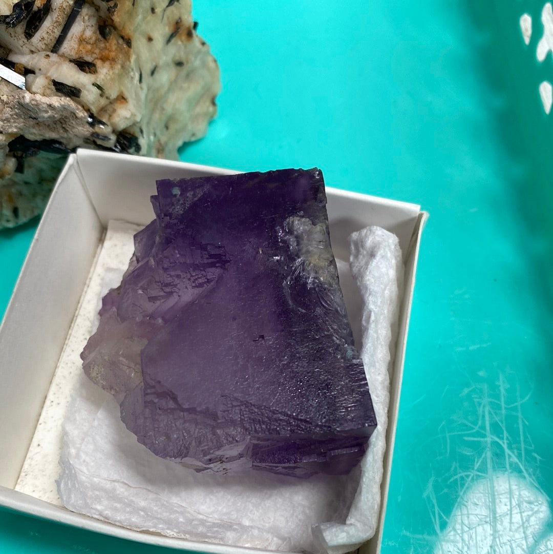 A large, deep purple crystal from The Crystalary collection (LIVE - Tracey Bachetto - 4/25/24) sits in a pristine white box lined with tissue paper. Its sharp, angled facets catch the light beautifully as it rests on a bright turquoise surface. In the background, a section of Malawi schorl is partially visible.