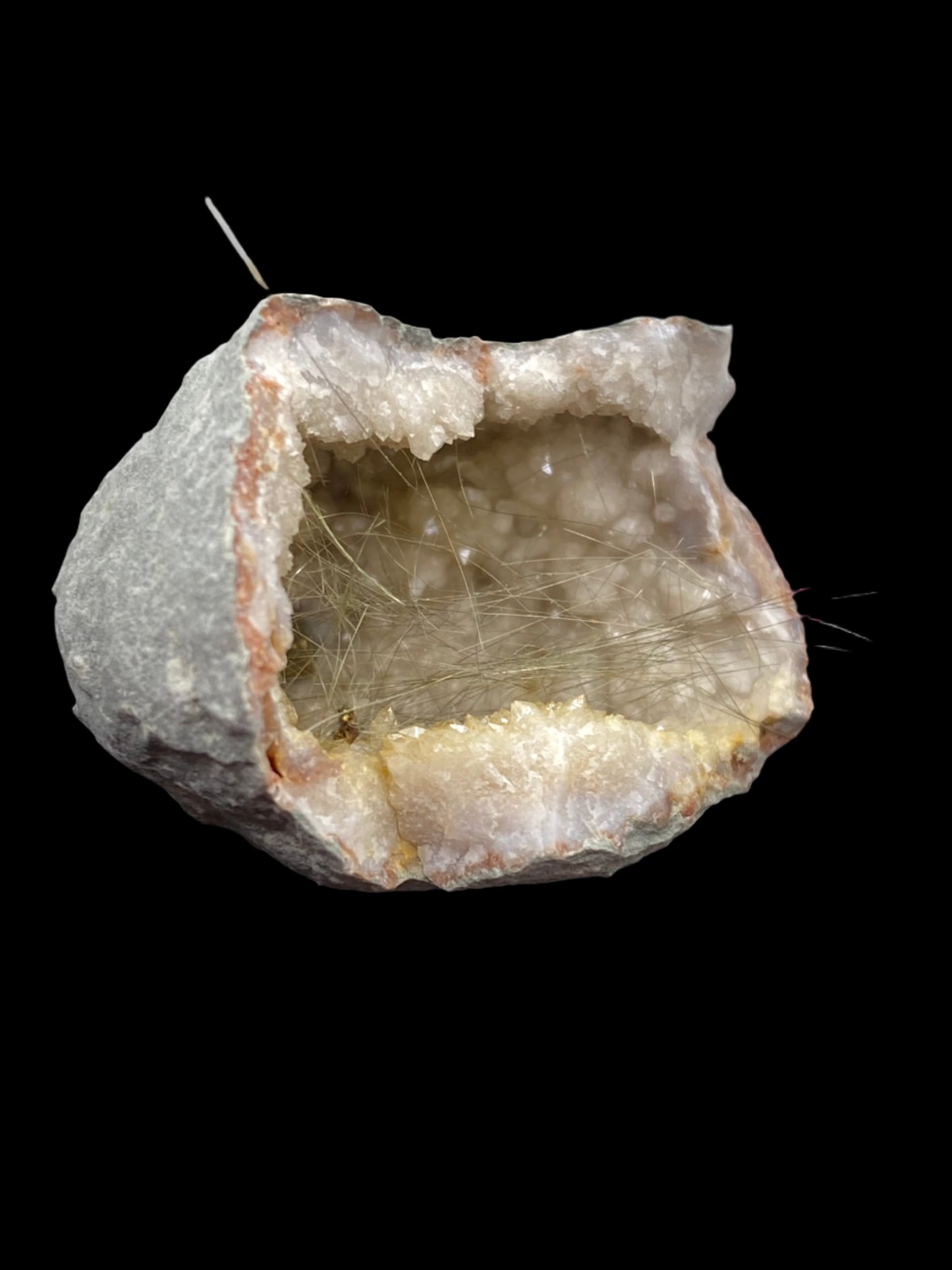 A halved Millerite geode from Halls Gap, Lincoln Co., Kentucky, available at The Crystalary, displays a crystal-lined cavity with a gray, rough outer surface. Inside, it reveals clear, intricate crystal formations and needle-like inclusions in a nickel-rich matrix, creating a striking contrast against the plain black background.